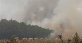 দাবানলের প্রভাবে বায়ুদূষণ; বাড়ছে মারাত্মক রোগের ঝুঁকি